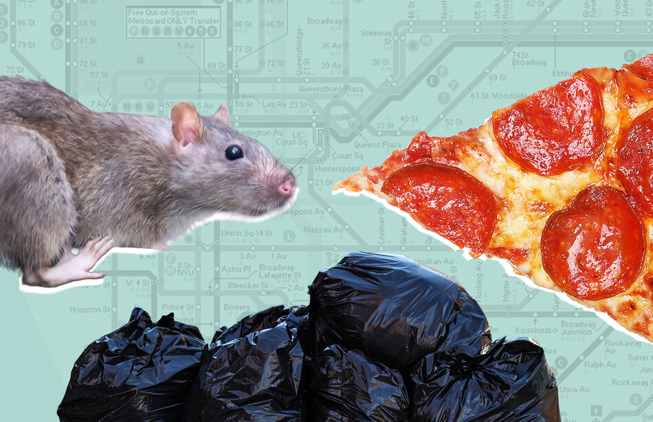 Want to Meet New York’s Pizza Rats? There’s a Tour for That - Columbia University